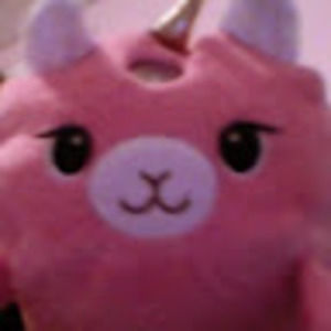 Meet your Posher, Molly